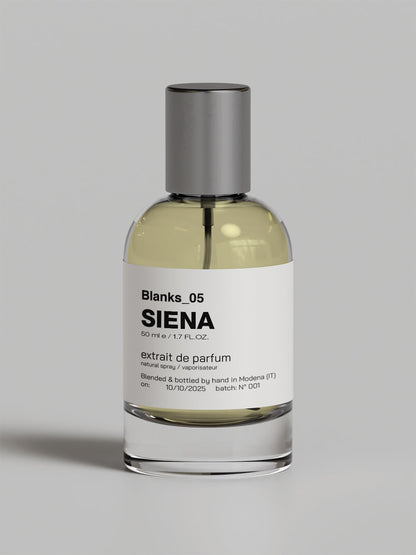 05_SIENA