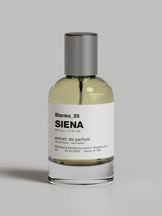05_SIENA